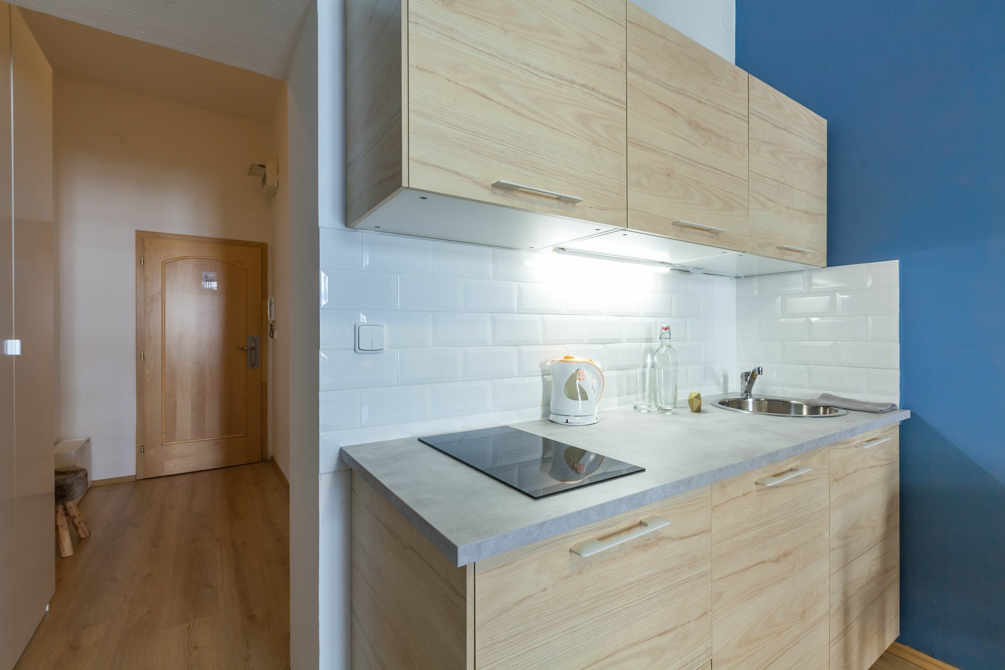 Apartment Apartment Slavojova Prag